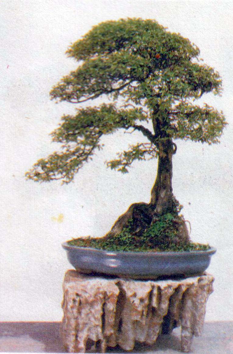 ݥ-ȸ÷ľ89-4.jpg