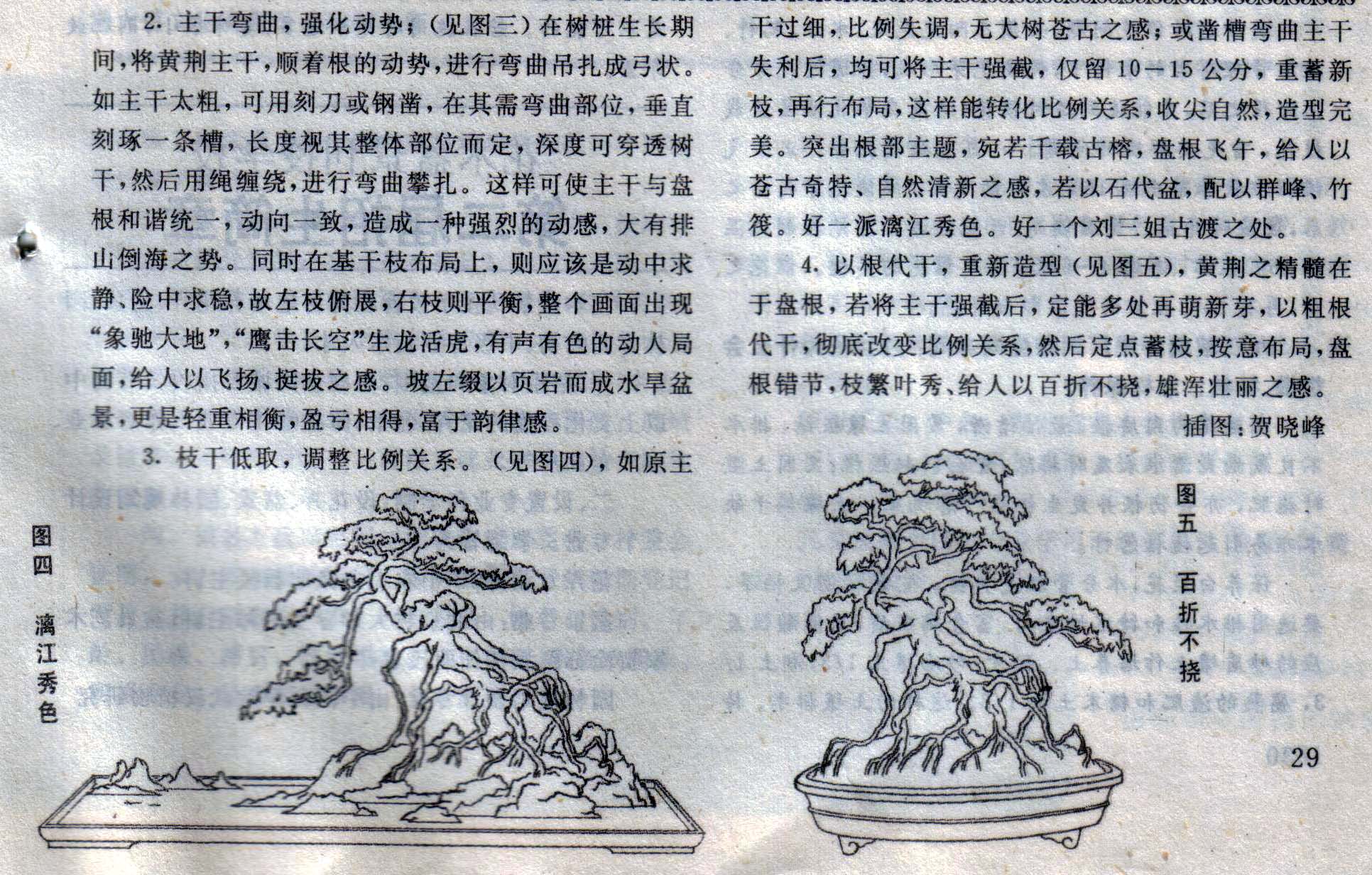 7ݥ-辰2.jpg