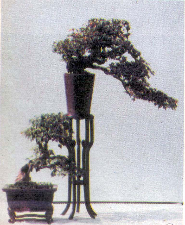 ݥ辰-Ƿ .jpg