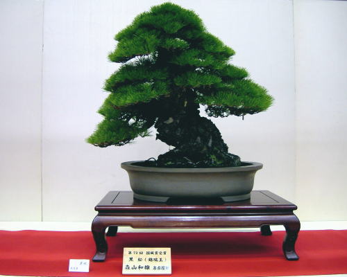 2005-11-4-17kai-goman-5-moriyama-kazuo-d.jpg