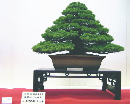 2005-11-4-17kai-goman-3-simomura-kenzou-d.jpg