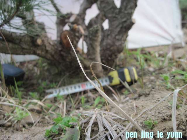 20130325Ժ 003.jpg