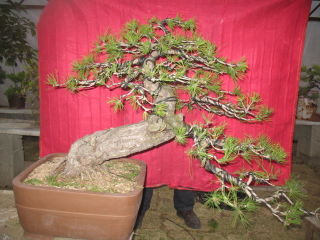 2013.3\\\'28 036.jpg