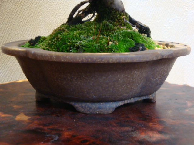 DSC03051.JPG