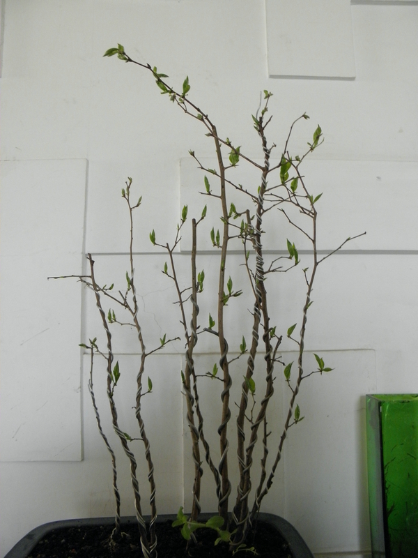 P1010031.JPG
