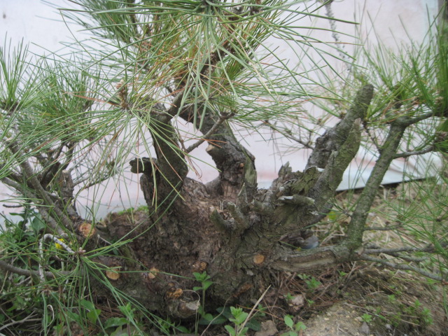 20130325Ժ 007.jpg