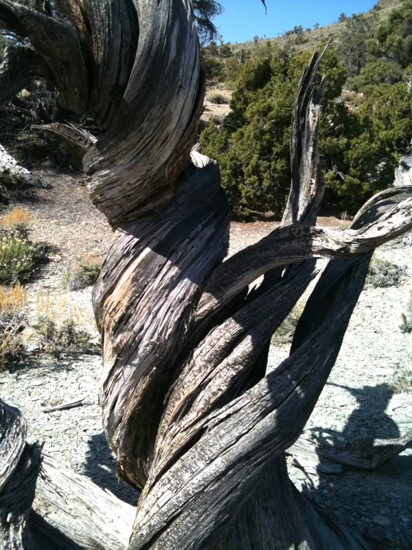 photo7.jpg