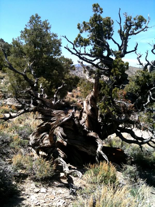photo23.jpg