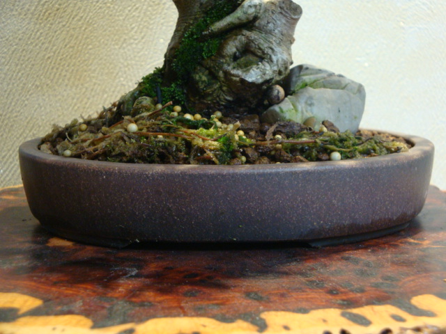 DSC03053.JPG