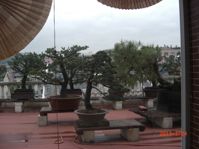 CIMG6387.JPG
