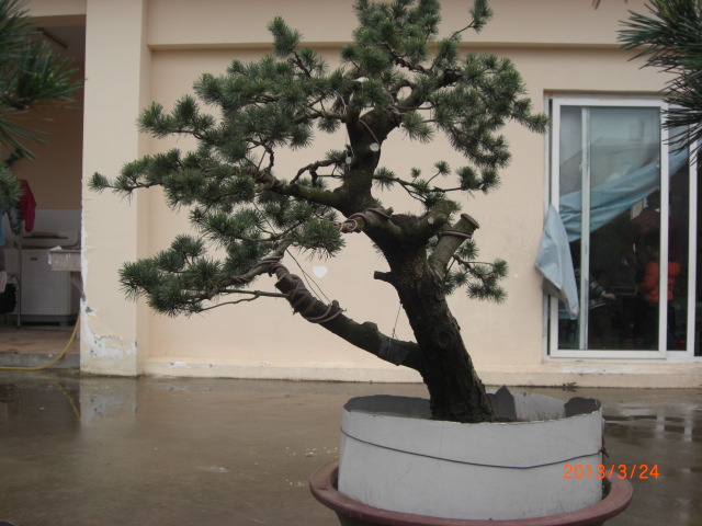 CIMG6321.JPG