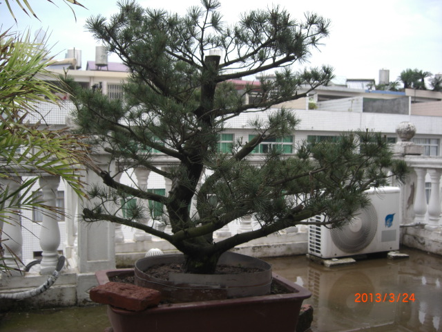 CIMG6339.JPG