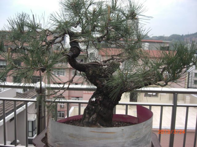 CIMG6346.JPG