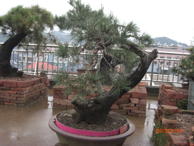 CIMG6356.JPG