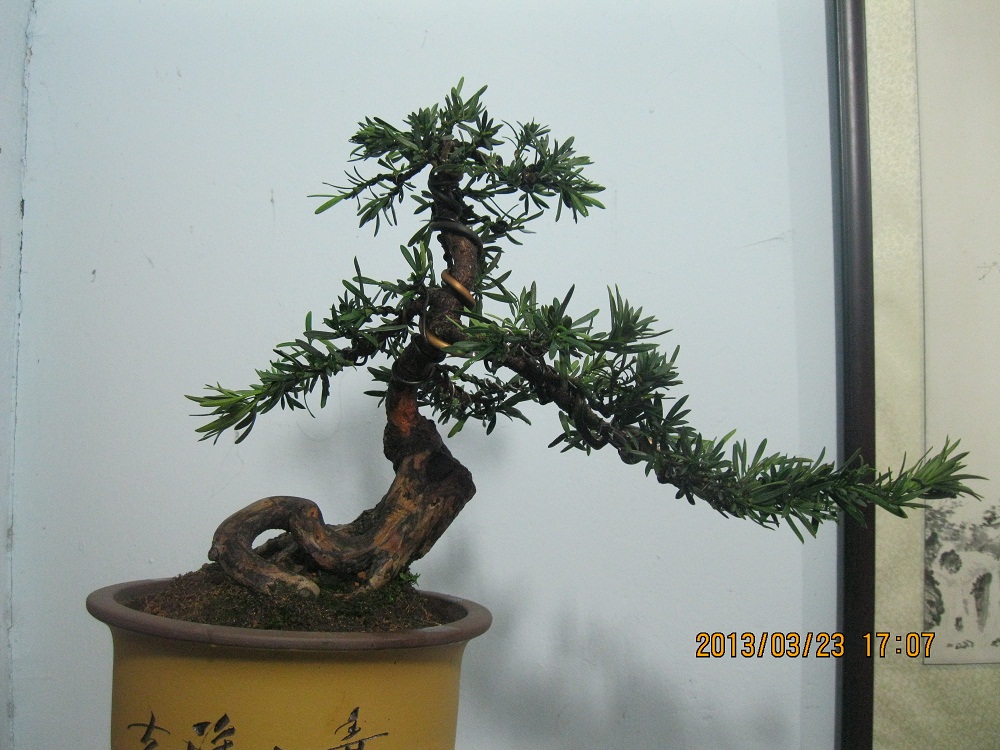 IMG_1787.JPG