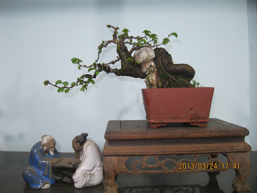 IMG_1803.JPG