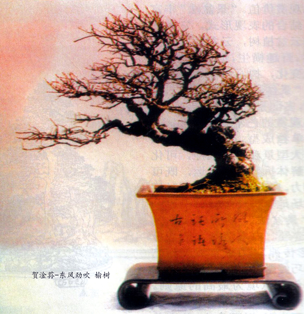 ݥ-羢 .jpg