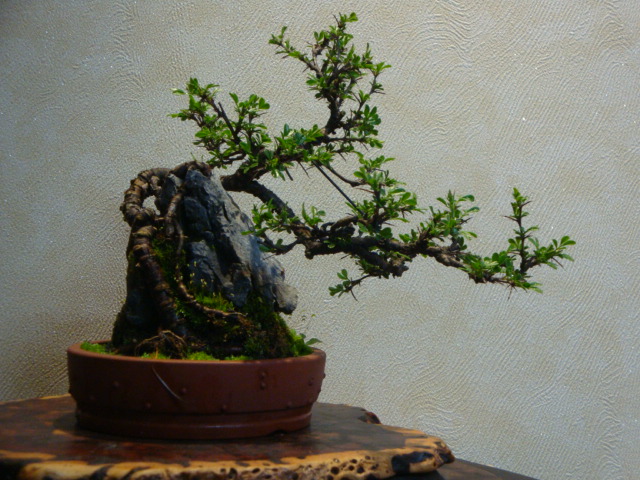 DSC03064.JPG