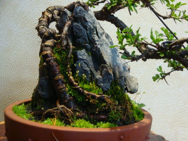 DSC03065.JPG