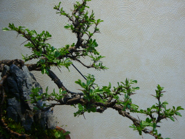 DSC03067.JPG