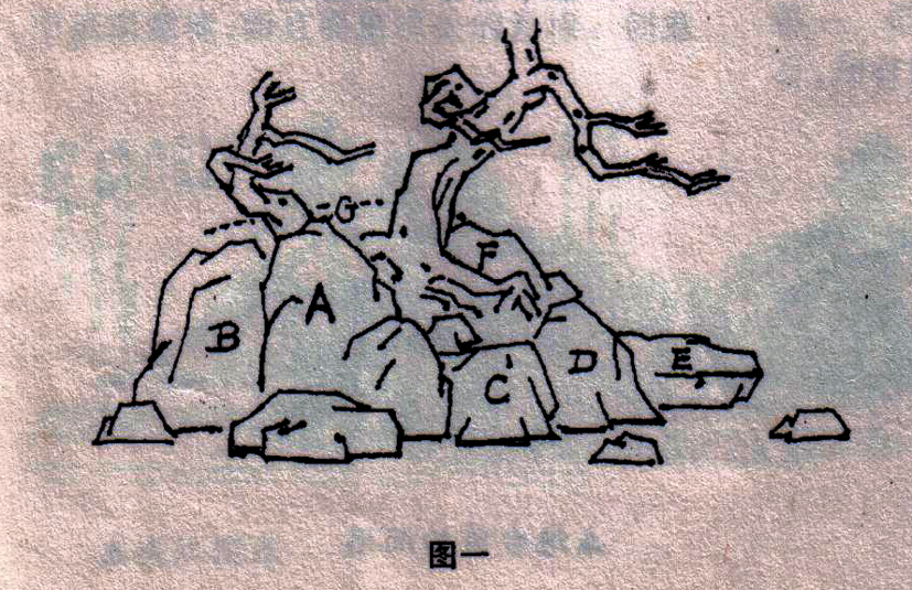 ݥ跨-ͼ1ľ99-7.jpg