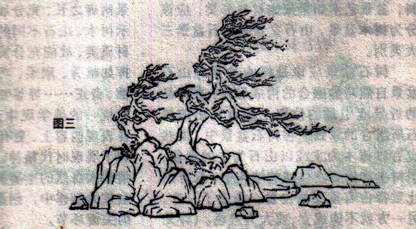 ݥ跨-ͼ3ľ99-.jpg