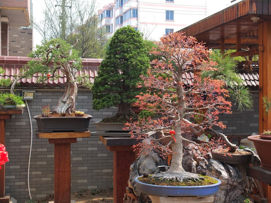 DSCF3198.jpg