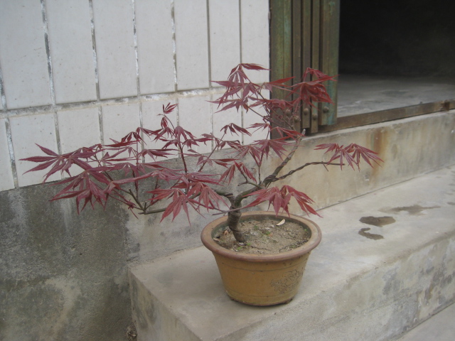 IMG_5844.JPG