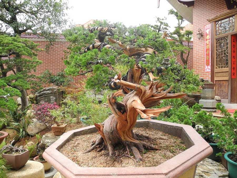 DSCN0435.JPG