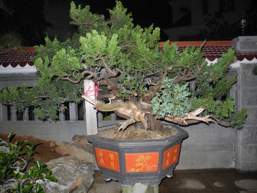 DSCN0321.JPG