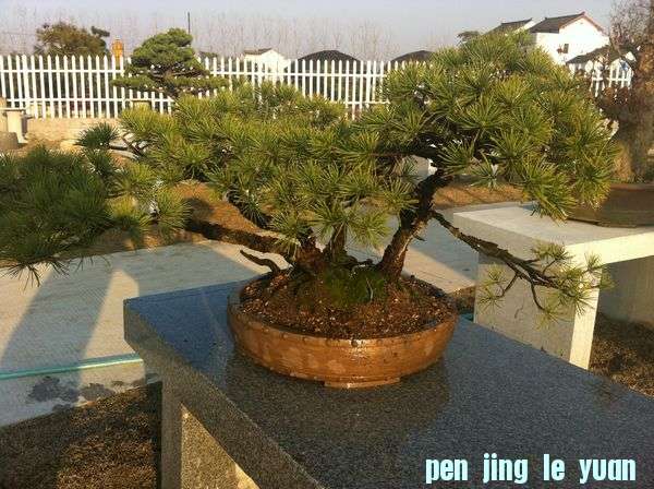 ҵ辰 501.jpg