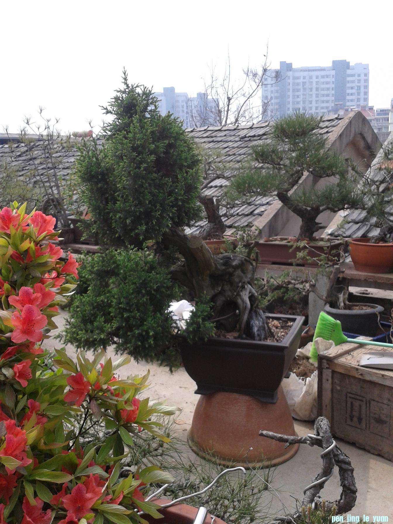 2013-04-04 10.39.35.jpg