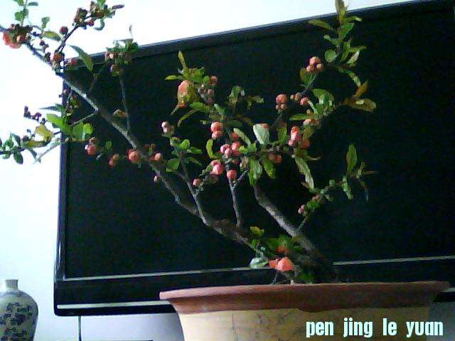 ͼƬ 012.jpg
