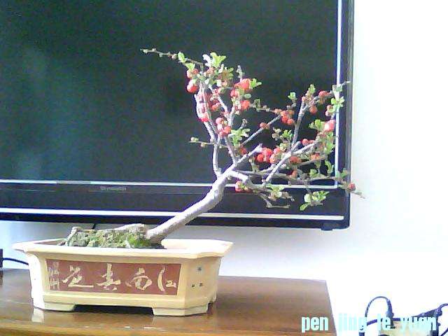 ͼƬ 006.jpg