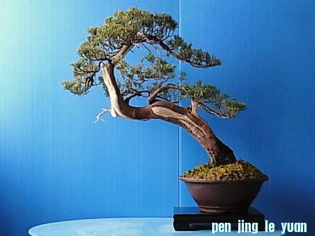 i=http%3A%2F%2Fpds2.exblog.jp%2Fpds%2F1%2F201301%2F08%2F53%2Ff0147853_18314567.jpg