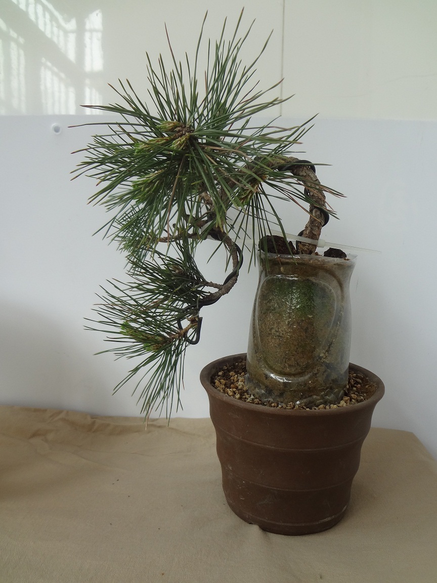 DSC02077.JPG