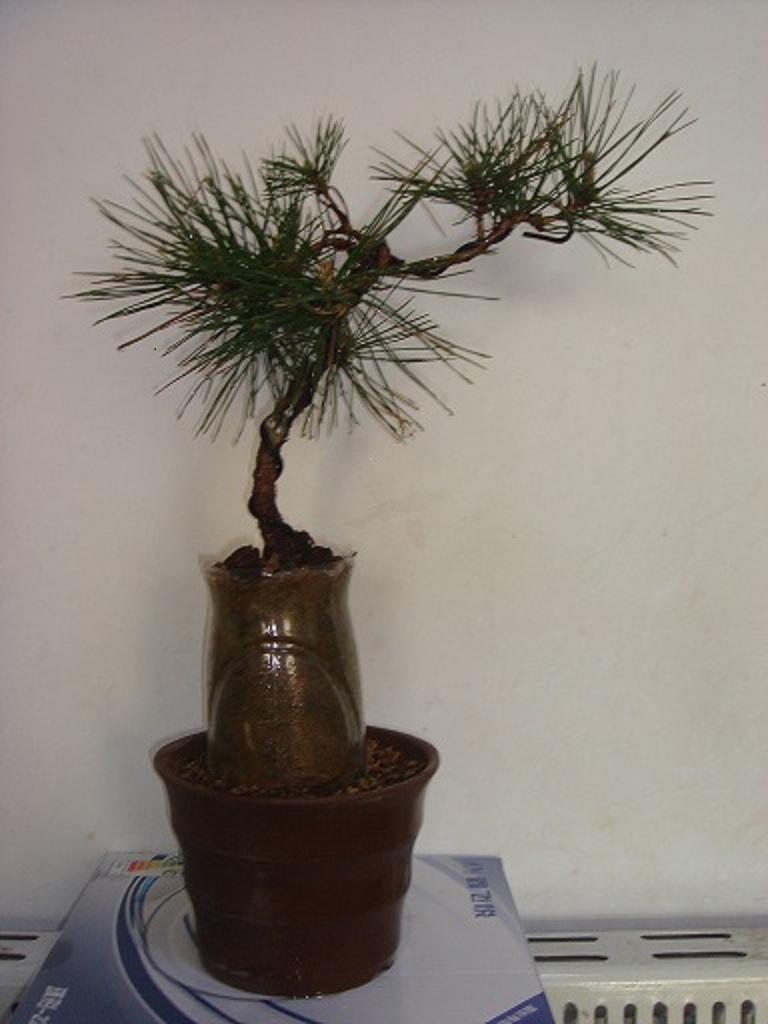 DSC04079.JPG