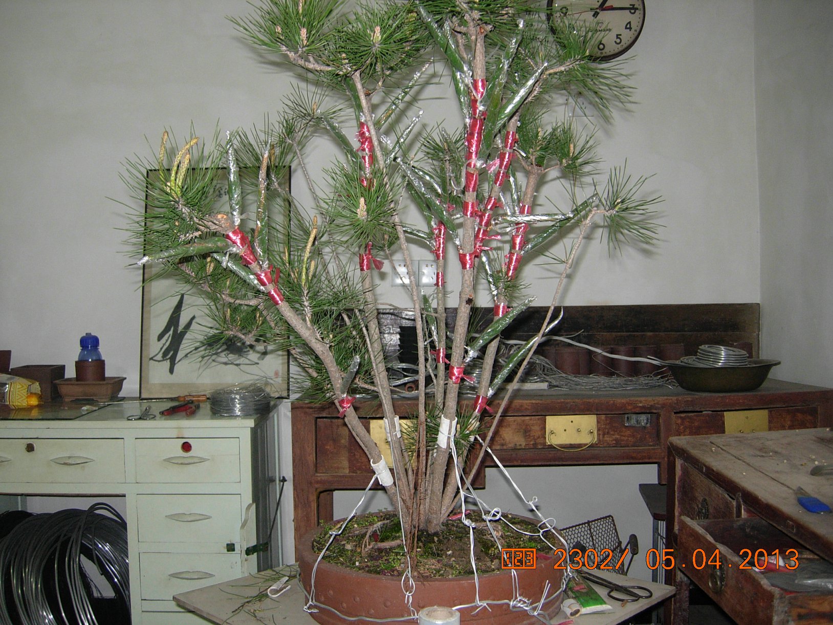 DSCN6664.JPG