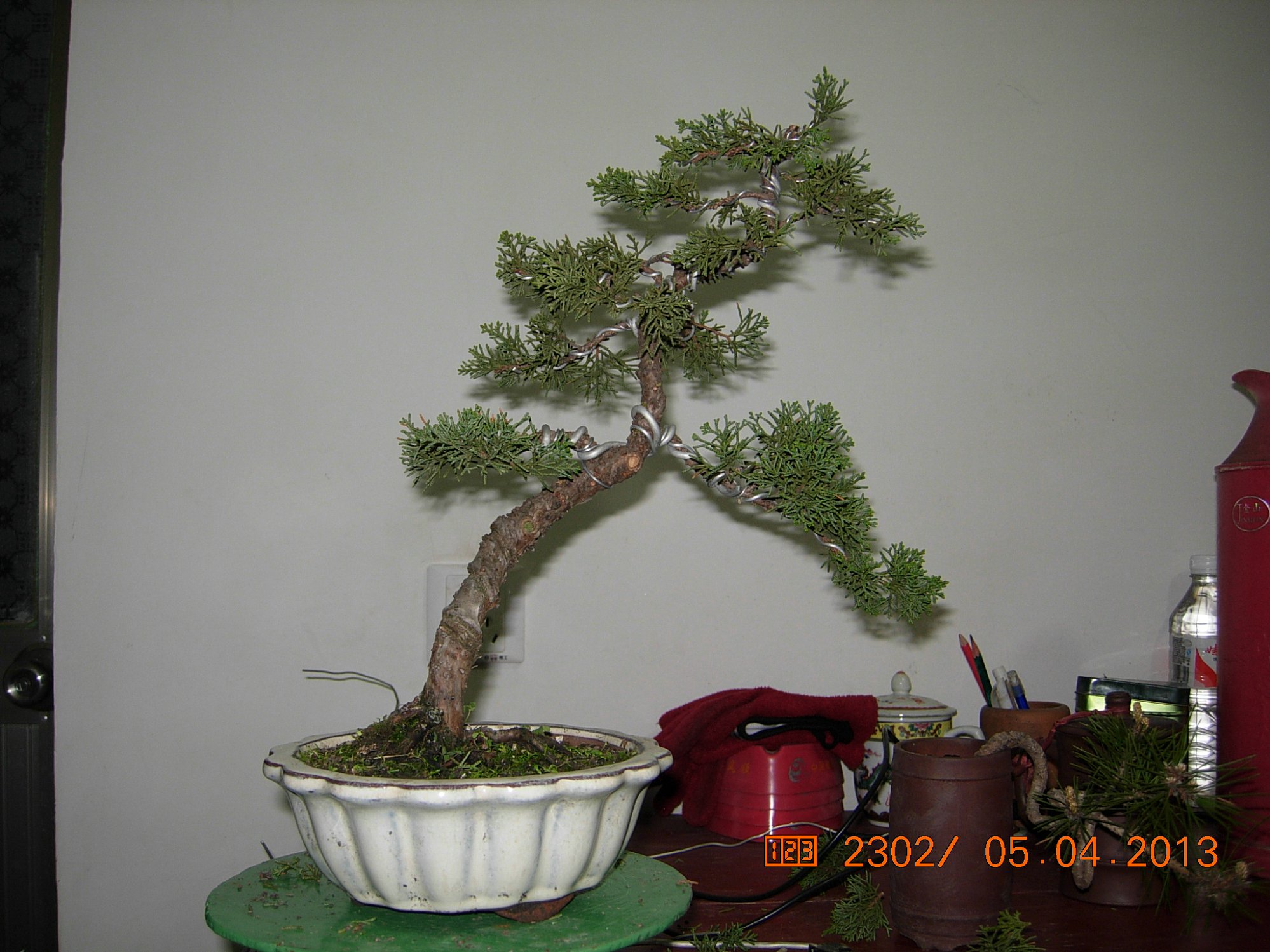 DSCN6643.JPG