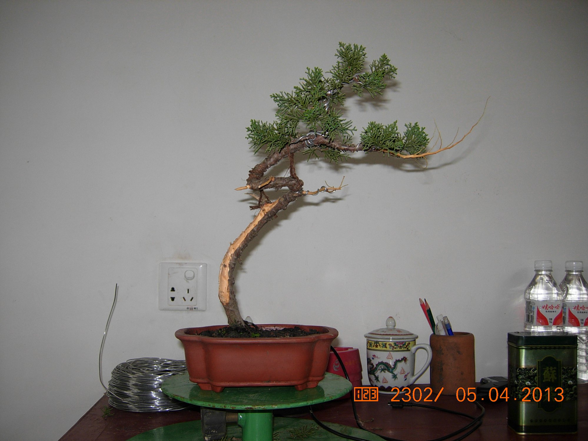 DSCN6644.JPG