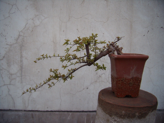 P4050030.JPG