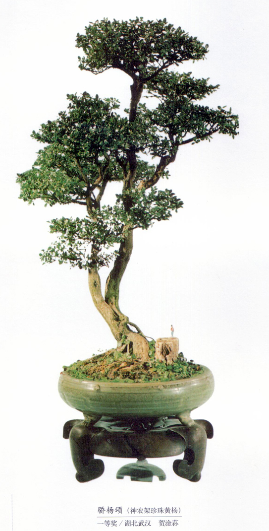 ݥ-人-ũ-21Ƚ (2).jpg