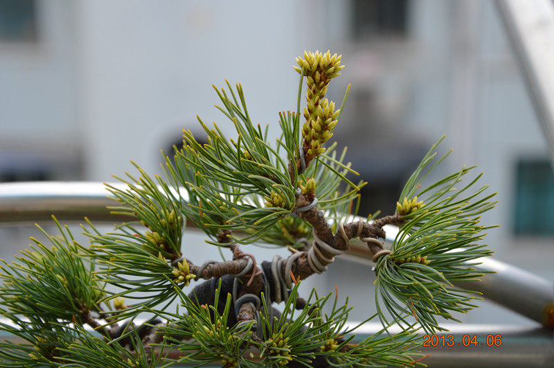 DSC_0194_.jpg