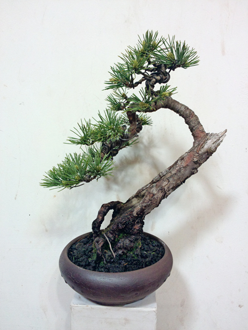 P30405-214809_.jpg