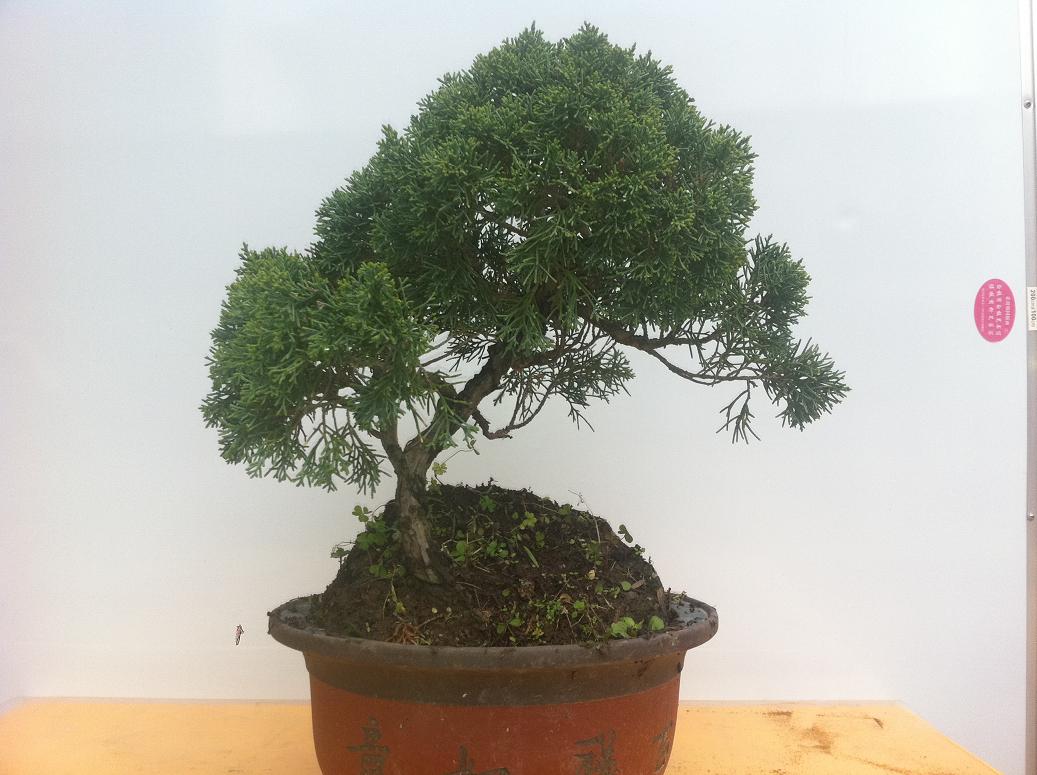 20130406 002.jpg