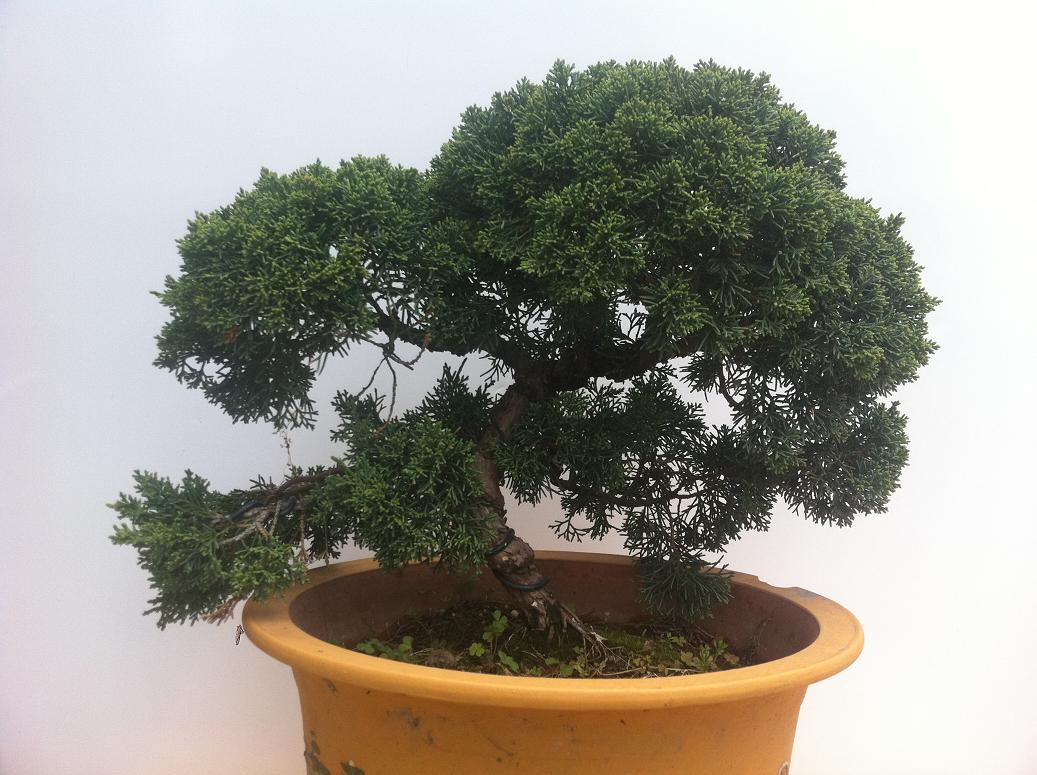 20130406 004.jpg