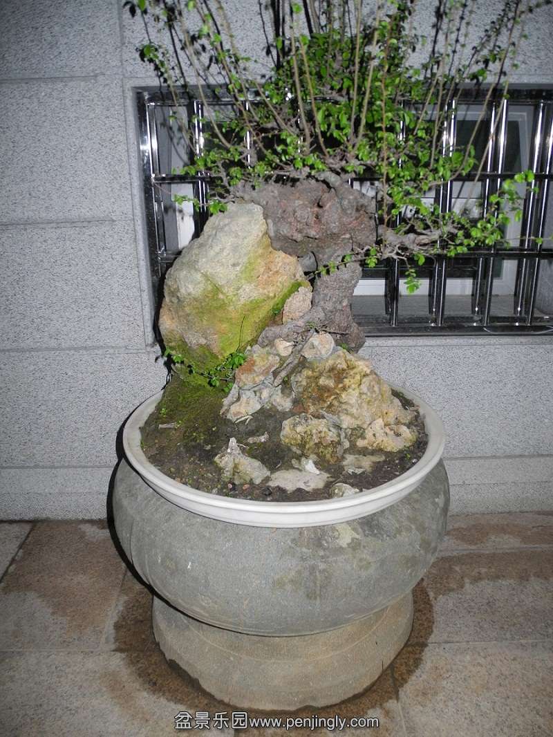 DSCN0328.JPG