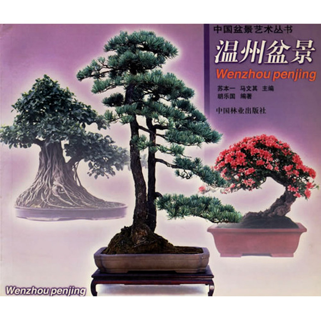 ֹ辰йҵ1999-8-1.jpg
