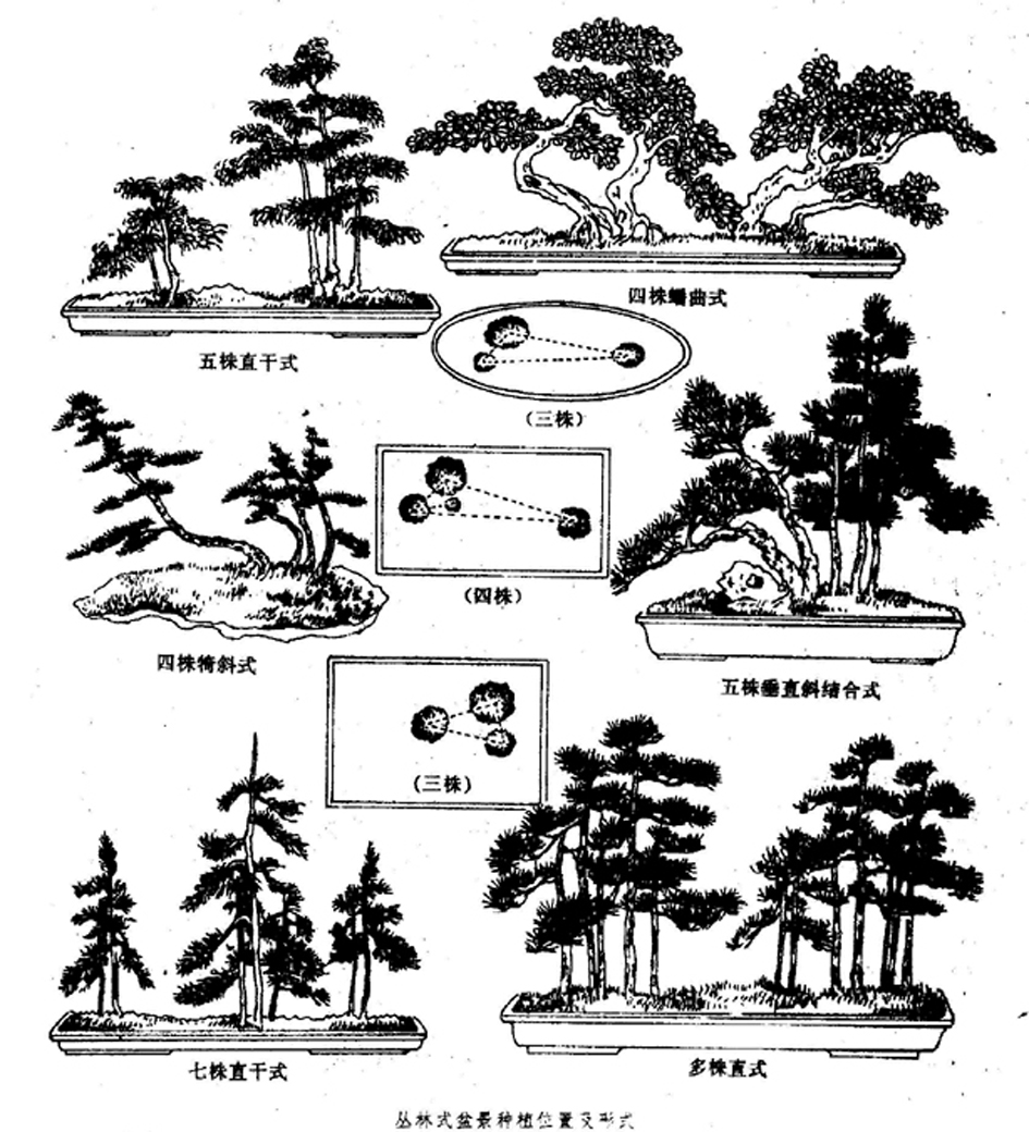 ֹʽ辰йũҵٿȫ辰Ŀ4.jpg