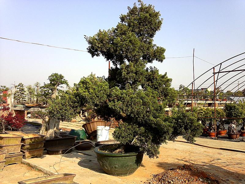 201304072675_.jpg